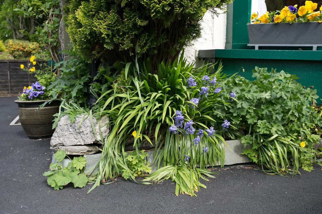 Bed and Breakfast The Haven Windermere Esterno foto